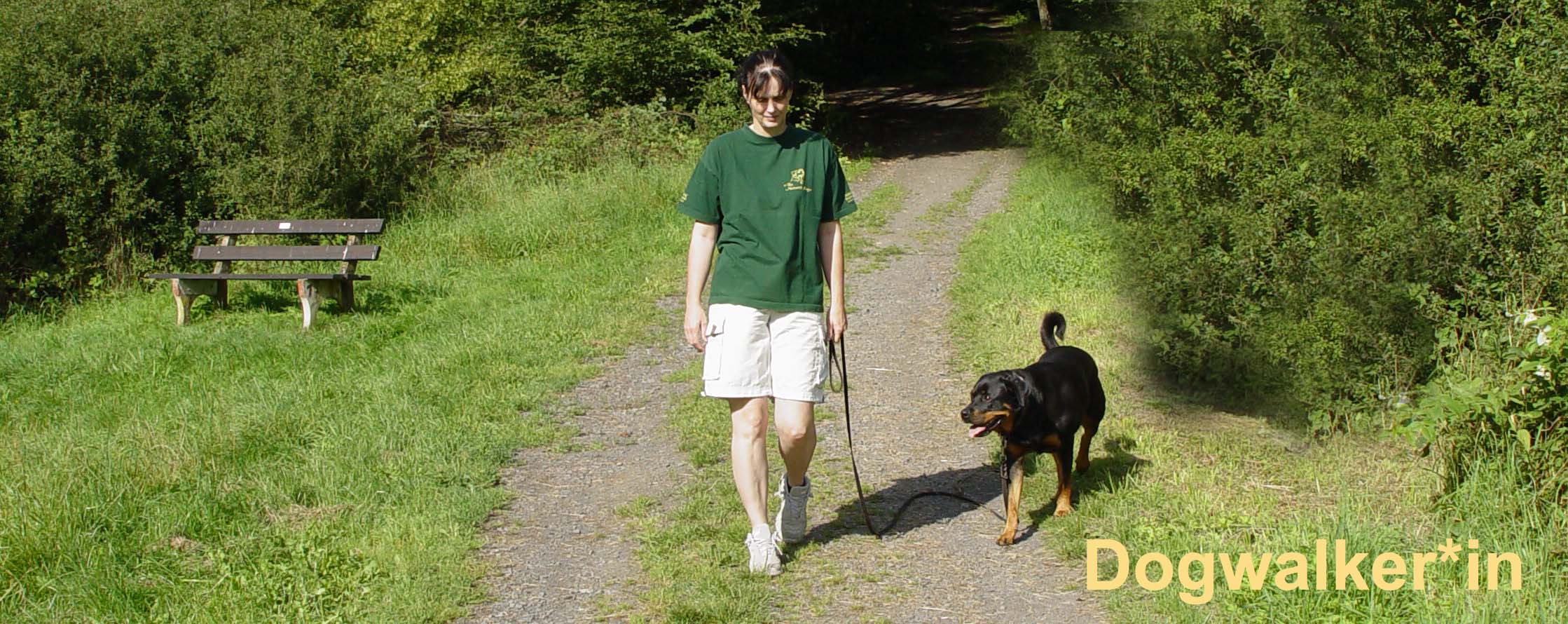 Berufe mit Hunden - Dogwalker*in