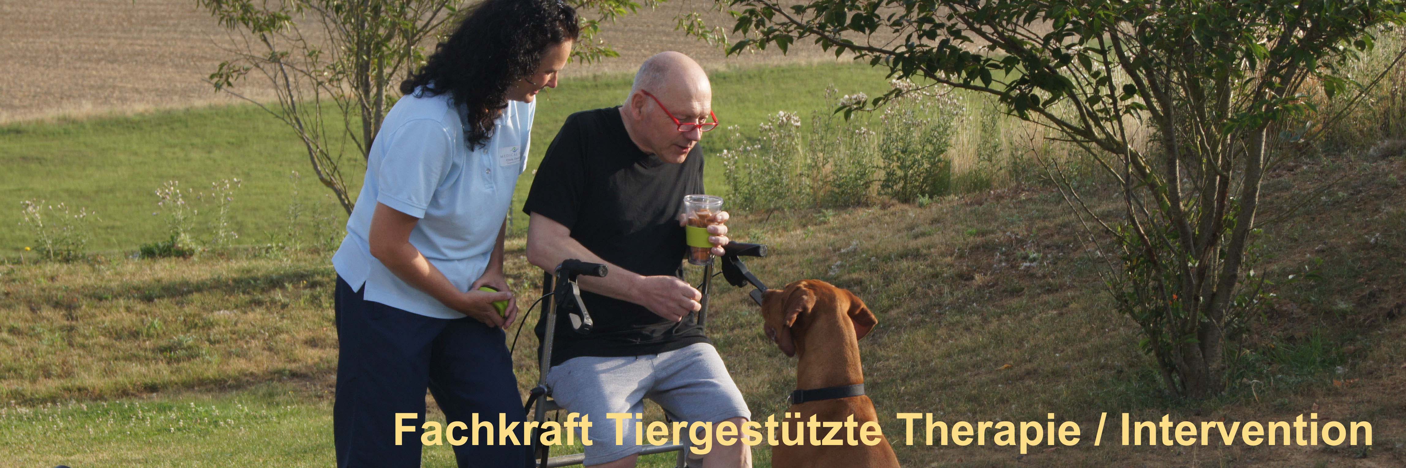 Berufe mit Hunden - Tiergestütze Therapie