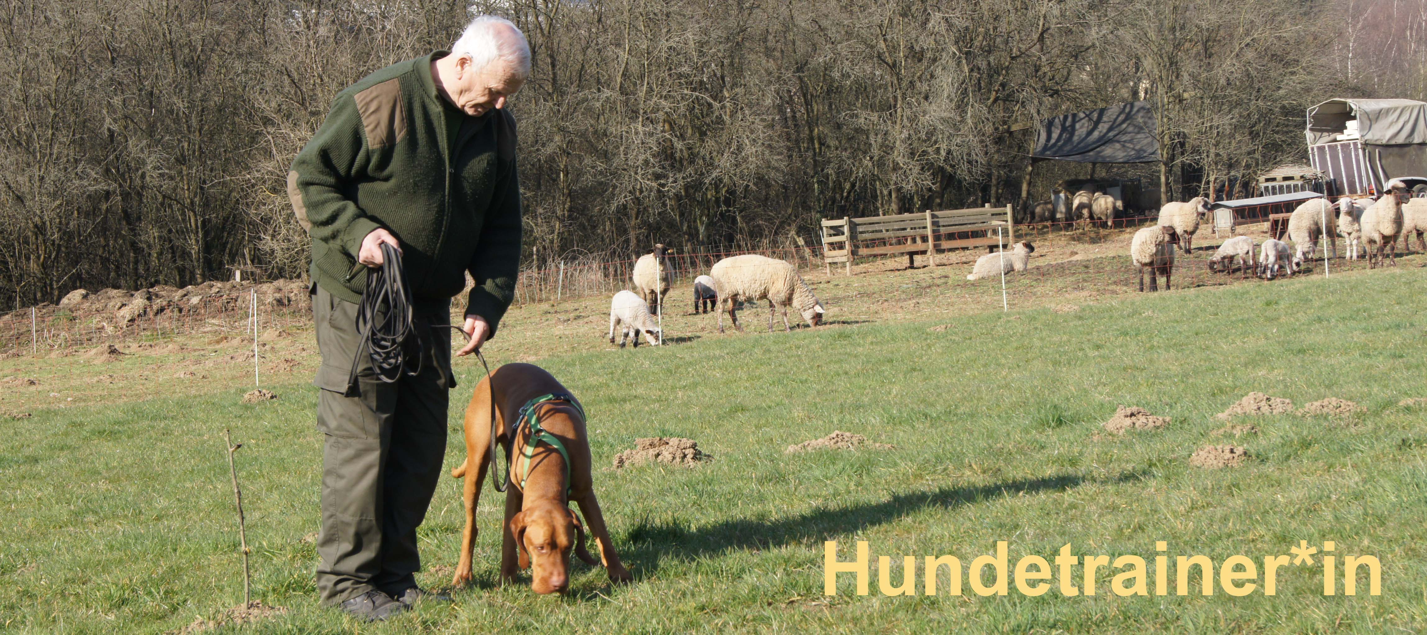 Berufe mit Hunden - Hundetrainer border=