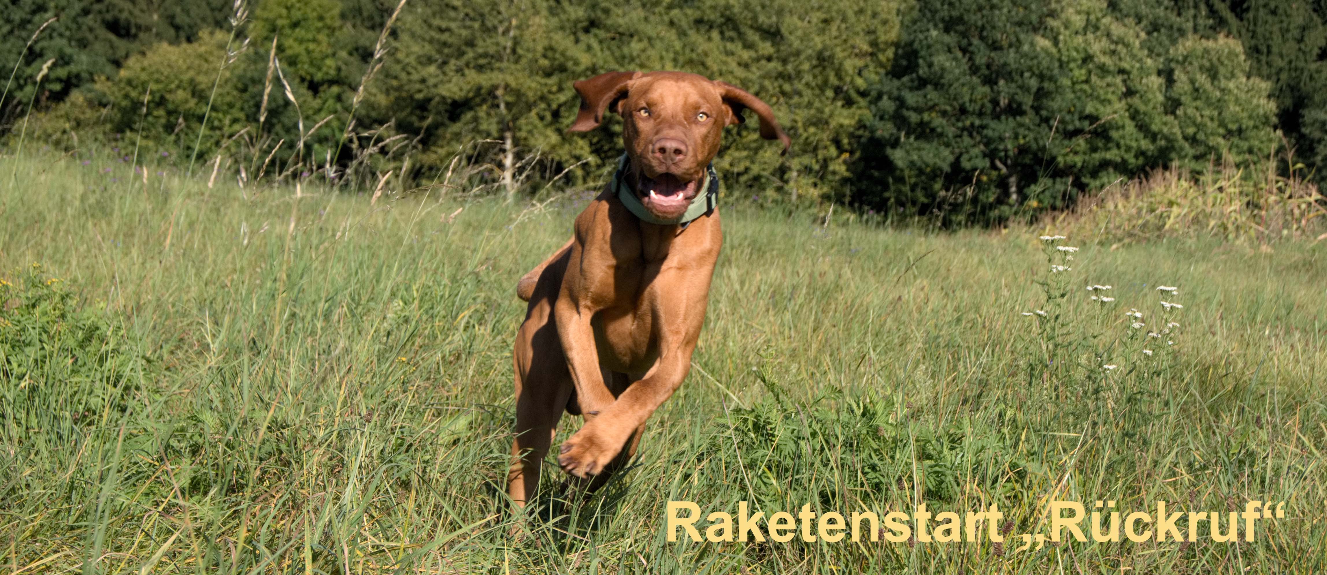 Intensivkurs Raketenstart - Rückruf