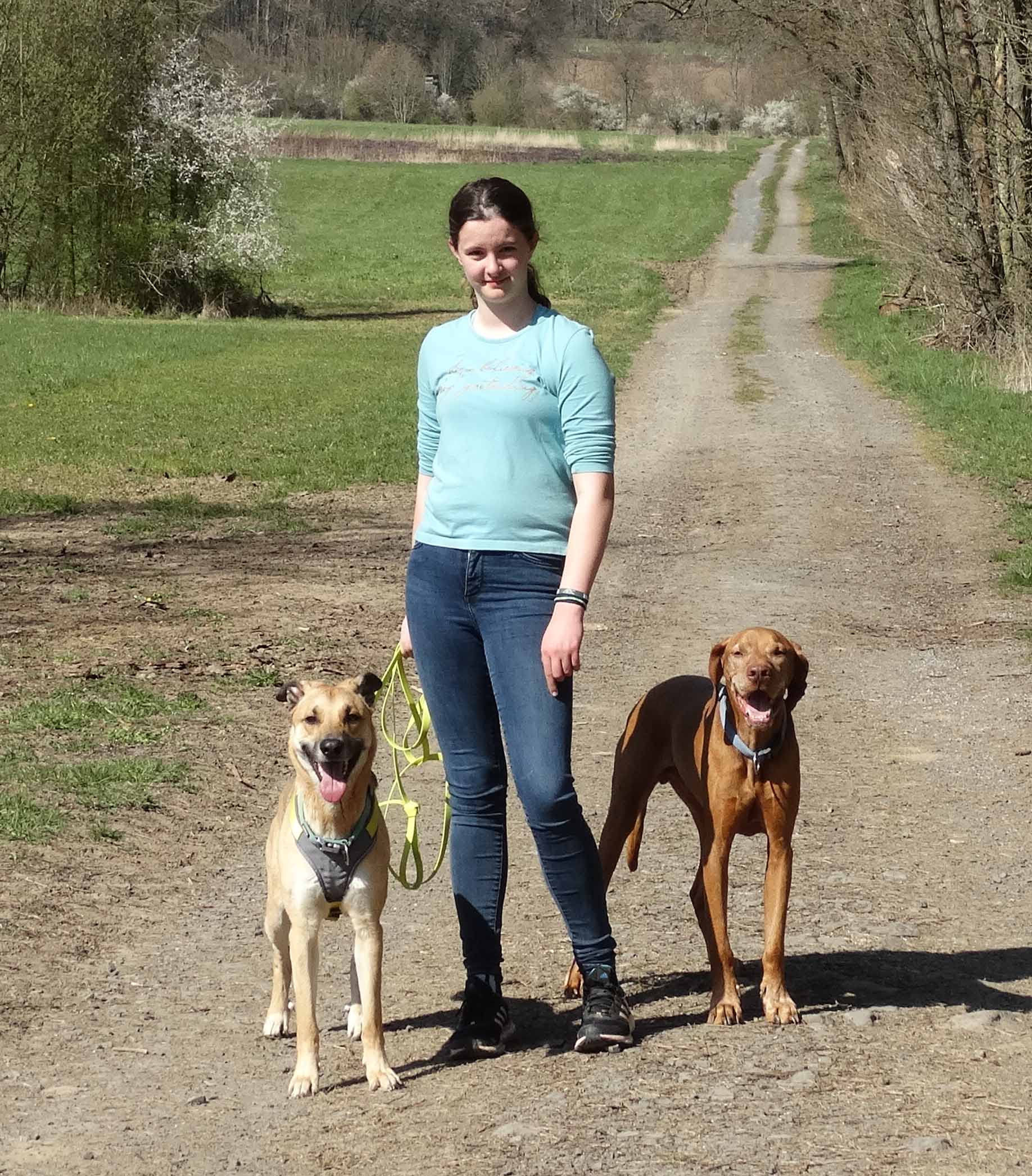 Shana mit Spike und Shane