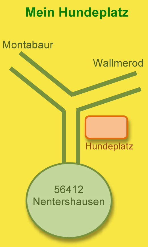 Hundeplatz Hundeerziehung NaturNah